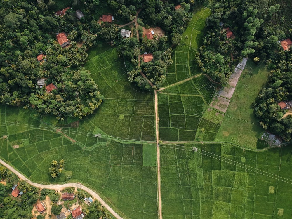 Aerial view of land plots