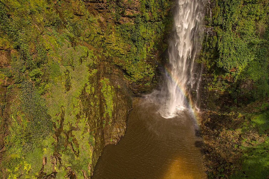 Wli Waterfalls
